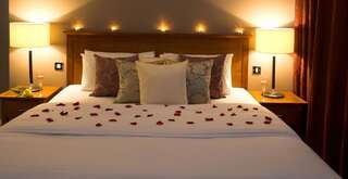 Отель Ferrycarrig Hotel Уэксфорд Стандартный двухместный номер с 1 кроватью - Только для взрослых-4